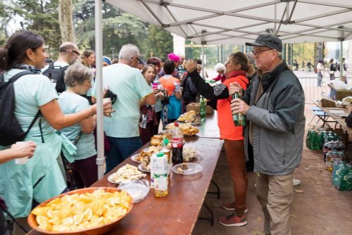 Nordic Walk In Lyon 2025