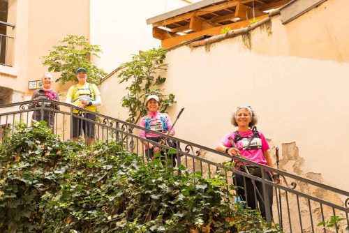 Nordic Walk In Lyon 2025